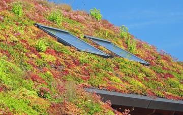 Suainebost living roof systems